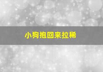 小狗抱回来拉稀