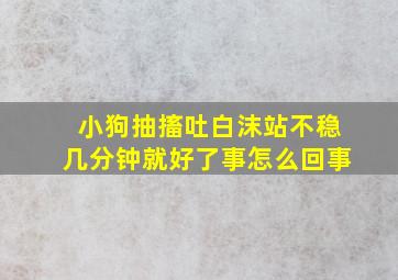 小狗抽搐吐白沫站不稳几分钟就好了事怎么回事