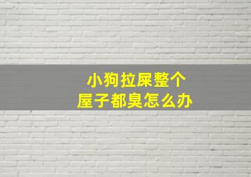 小狗拉屎整个屋子都臭怎么办