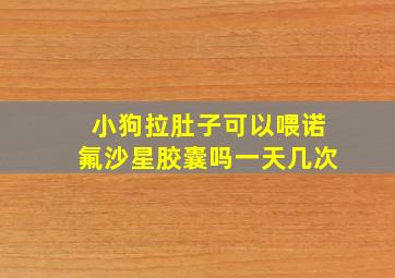 小狗拉肚子可以喂诺氟沙星胶囊吗一天几次