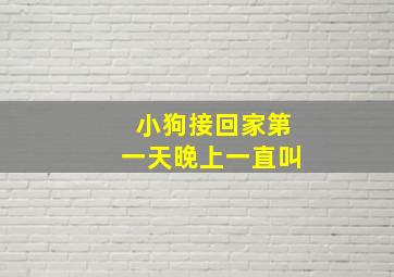 小狗接回家第一天晚上一直叫