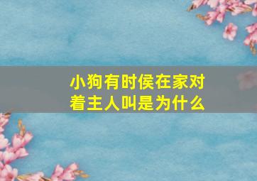 小狗有时侯在家对着主人叫是为什么