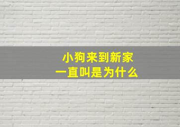 小狗来到新家一直叫是为什么