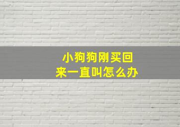 小狗狗刚买回来一直叫怎么办