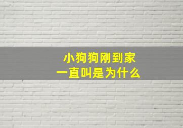 小狗狗刚到家一直叫是为什么