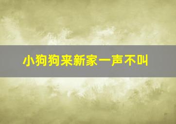 小狗狗来新家一声不叫