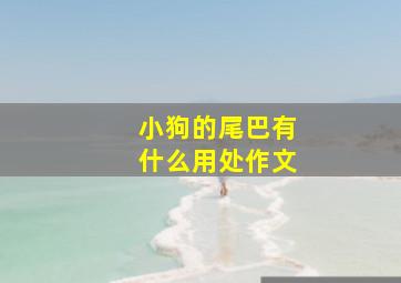 小狗的尾巴有什么用处作文