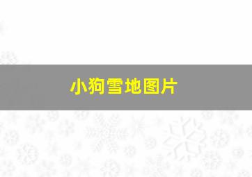 小狗雪地图片