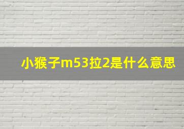 小猴子m53拉2是什么意思