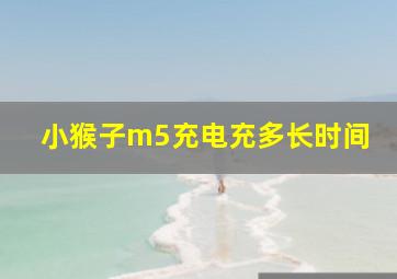 小猴子m5充电充多长时间