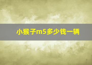 小猴子m5多少钱一辆