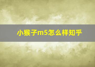 小猴子m5怎么样知乎