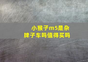 小猴子m5是杂牌子车吗值得买吗