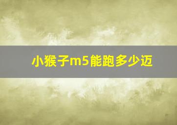 小猴子m5能跑多少迈