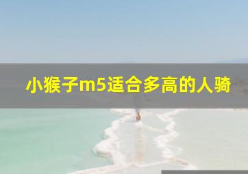 小猴子m5适合多高的人骑