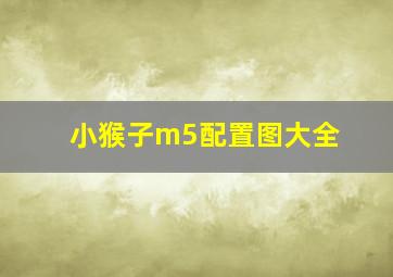 小猴子m5配置图大全