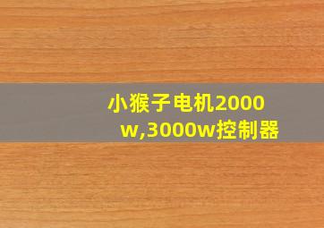 小猴子电机2000w,3000w控制器