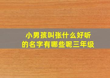 小男孩叫张什么好听的名字有哪些呢三年级