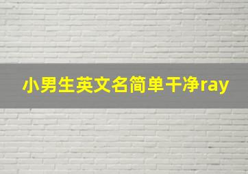 小男生英文名简单干净ray