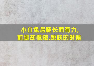 小白兔后腿长而有力,前腿却很短,跳跃的时候