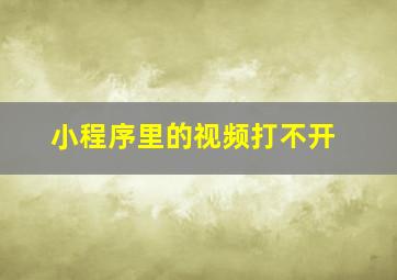 小程序里的视频打不开