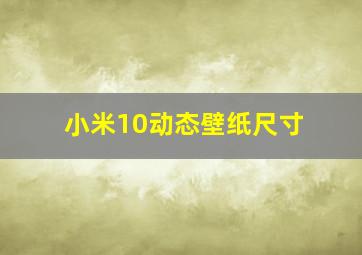 小米10动态壁纸尺寸