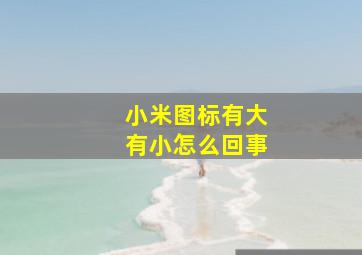 小米图标有大有小怎么回事