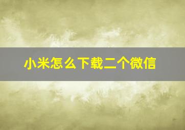 小米怎么下载二个微信