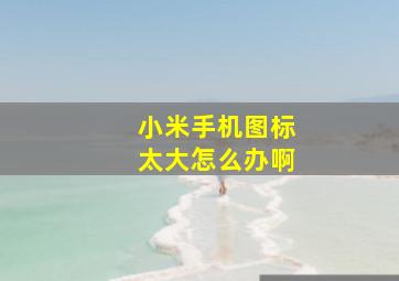 小米手机图标太大怎么办啊