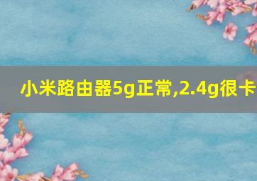 小米路由器5g正常,2.4g很卡