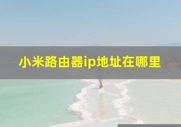 小米路由器ip地址在哪里