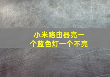 小米路由器亮一个蓝色灯一个不亮