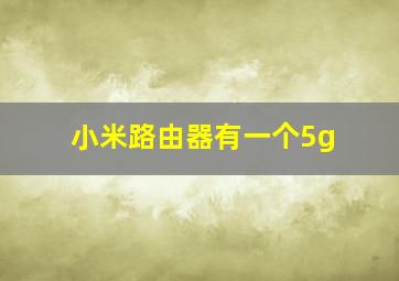 小米路由器有一个5g