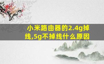 小米路由器的2.4g掉线,5g不掉线什么原因