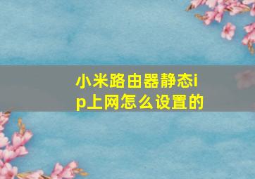 小米路由器静态ip上网怎么设置的