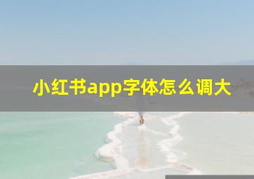 小红书app字体怎么调大