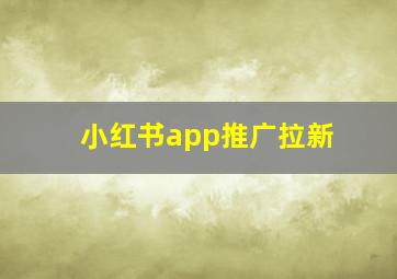 小红书app推广拉新