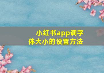 小红书app调字体大小的设置方法