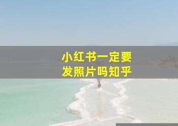 小红书一定要发照片吗知乎