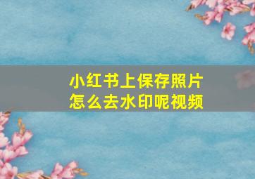 小红书上保存照片怎么去水印呢视频