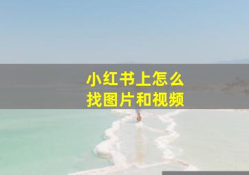 小红书上怎么找图片和视频