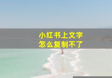 小红书上文字怎么复制不了