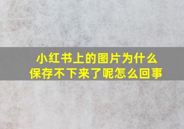 小红书上的图片为什么保存不下来了呢怎么回事