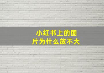 小红书上的图片为什么放不大