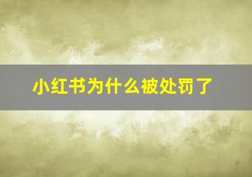 小红书为什么被处罚了