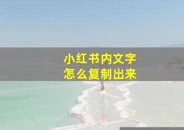 小红书内文字怎么复制出来