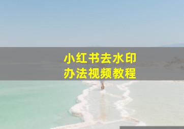 小红书去水印办法视频教程