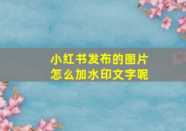 小红书发布的图片怎么加水印文字呢