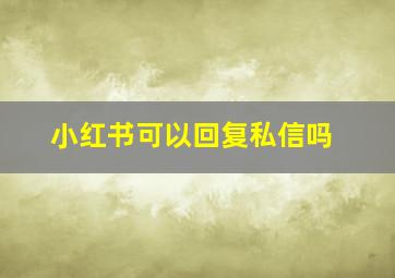 小红书可以回复私信吗