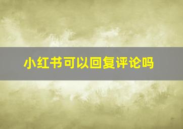 小红书可以回复评论吗